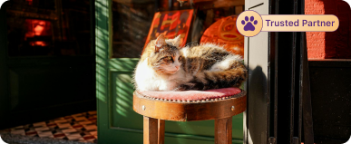 Pets guardian pet shop image